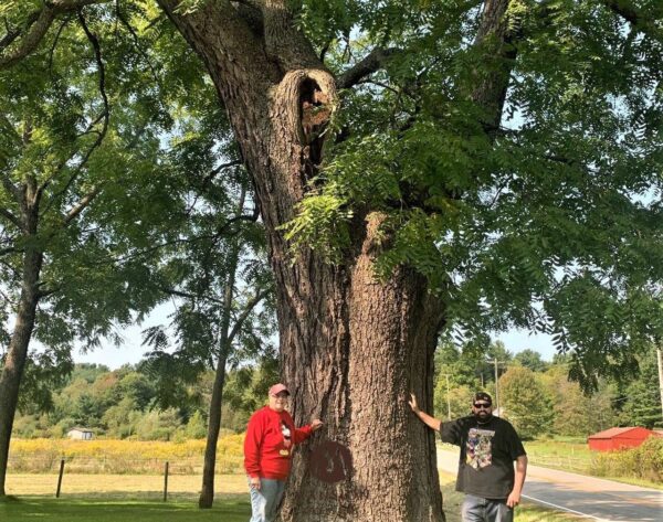 Showroom gỗ óc chó cao cấp tại Hà Nội Mansion – Không gian nội thất đẳng cấp