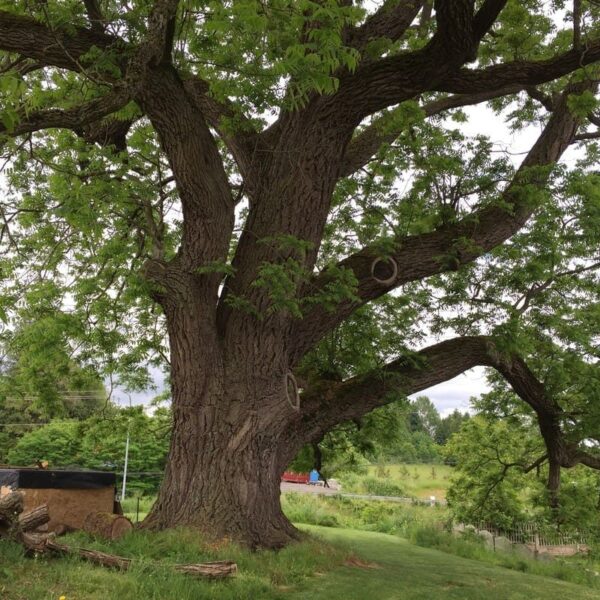 Thiết kế thi công nội thất tại Quảng Nam – Đơn vị uy tín, chất lượng