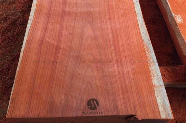 nội thất mansion