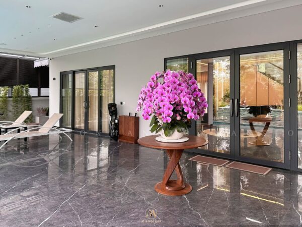 Thiết kế tủ giày gỗ óc chó cao cấp giá tốt