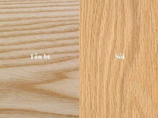 Cách phân biệt gỗ sồi mỹ và gỗ tần bì dựa vào đặc điểm gì?