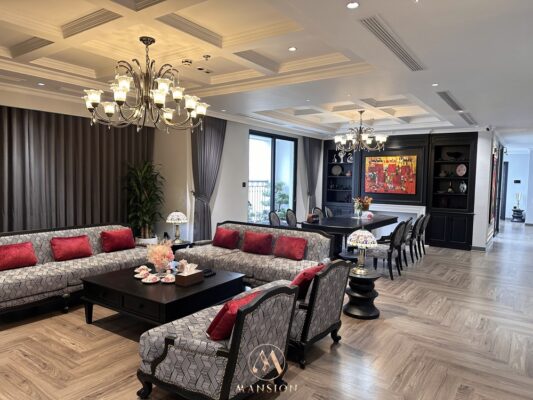 can-ho-dap-thong-rong-300m2-2