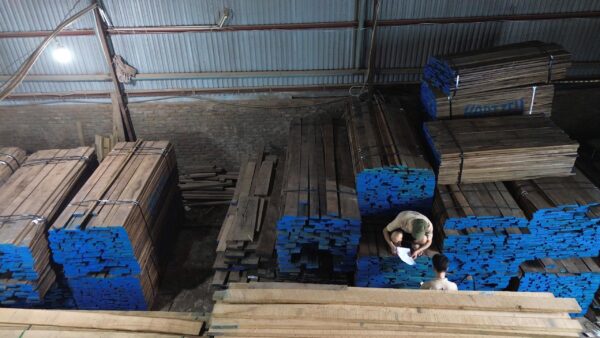 Kiểm tra chất lượng gỗ óc chó Bắc Mỹ trước khi sản xuất tại Mansion