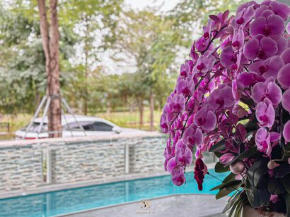 Hoàn công biệt thự Elysian Splendora An Khánh