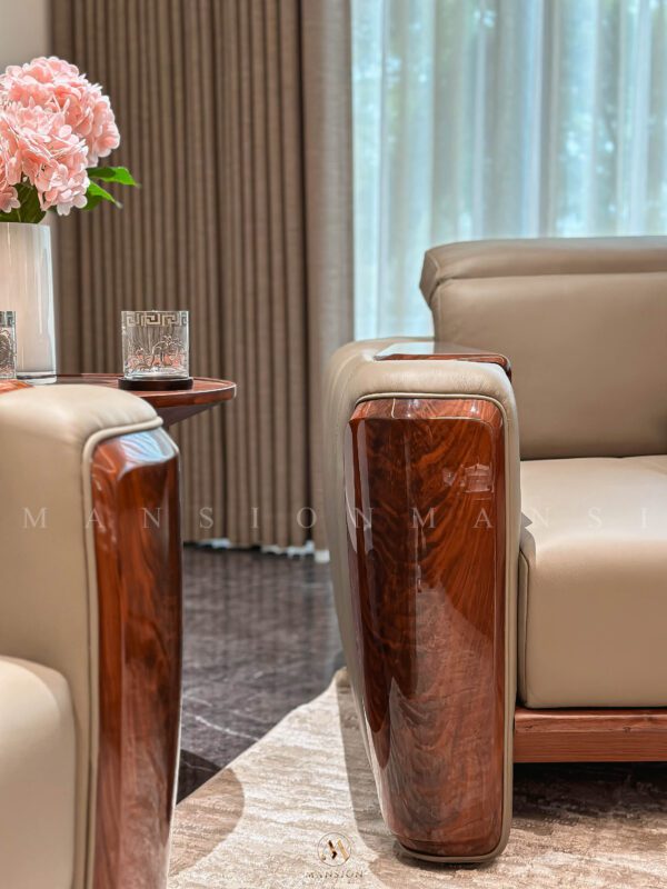 Hoàn công biệt thự Elysian Splendora An Khánh