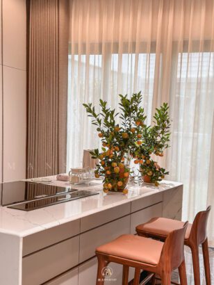 Hoàn công biệt thự Elysian Splendora An Khánh