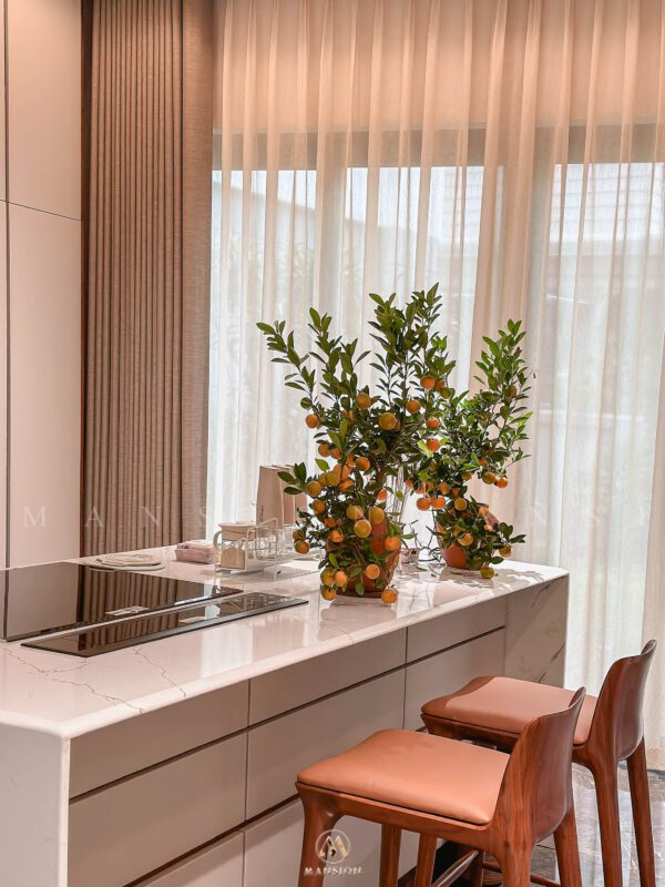 Hoàn công biệt thự Elysian Splendora An Khánh