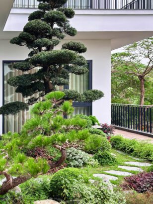 Hoàn công biệt thự Elysian Splendora An Khánh